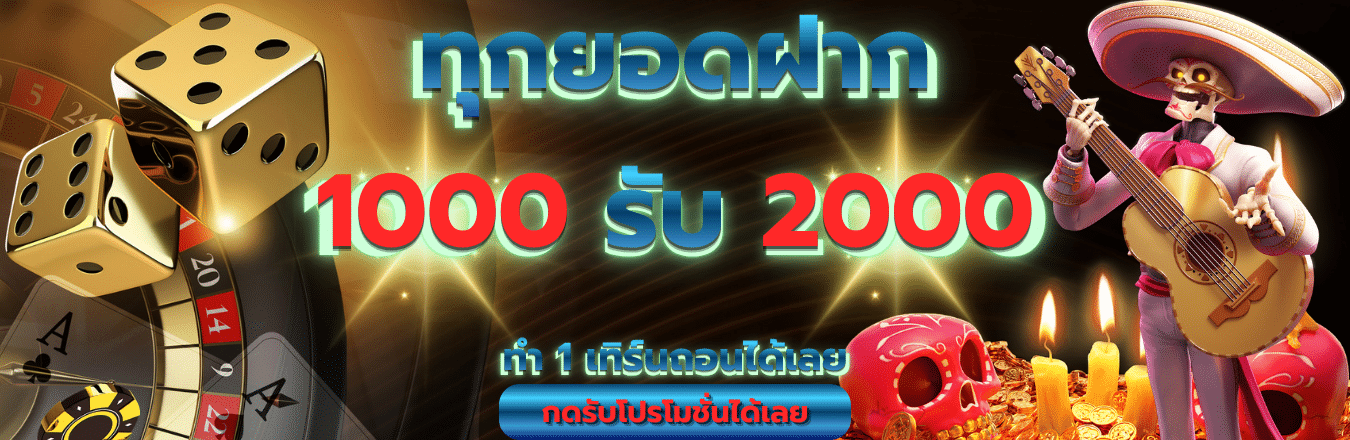 pro 5